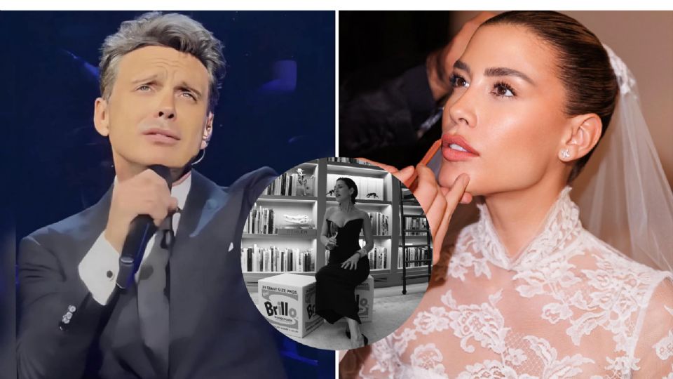 Luis Miguel pide perdón a Stephanie salas