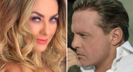 Luis Miguel y Aracely Arámbula habrían llegado a un acuerdo por sus hijos