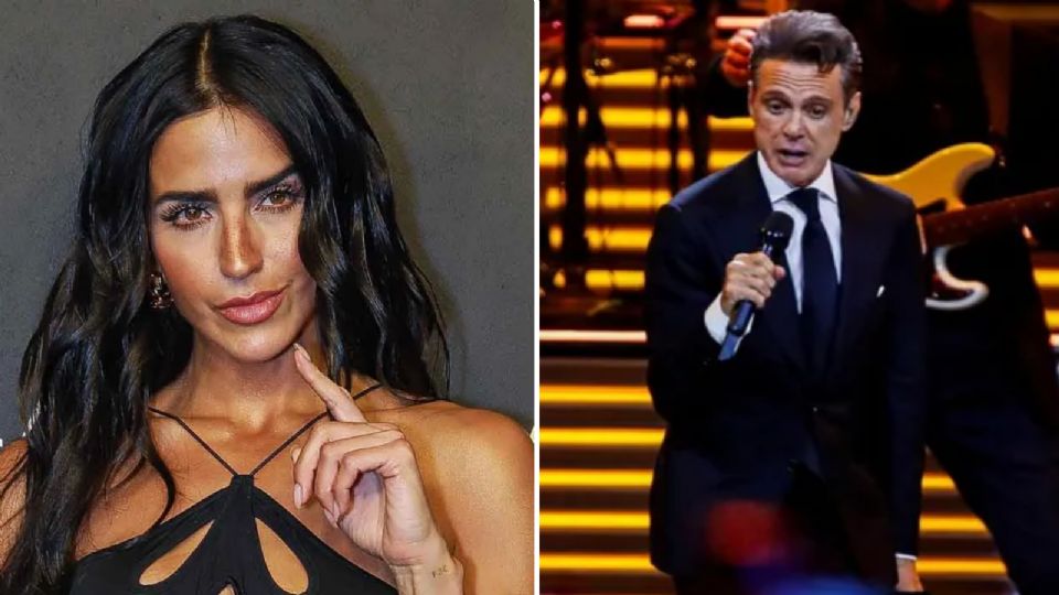 Bárbara de Regil crítica a Luis Miguel por su actitud en concierto