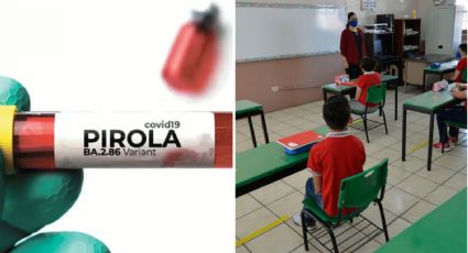 ¿Por variante Pirola de Covid-19, SEP suspende regreso a clases en enero? Esto sabemos