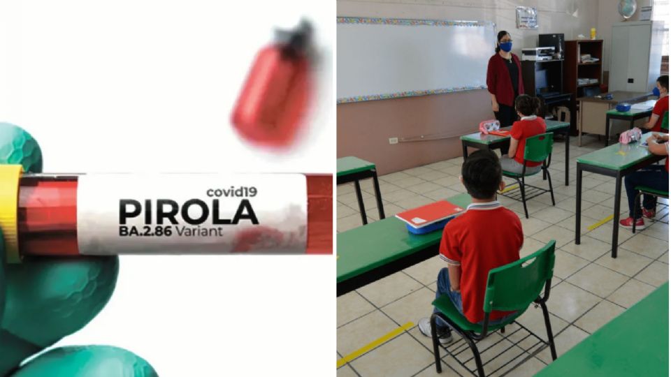 ¿Por variante Pirola de Covid-19 SEP suspende regreso a clases en enero?