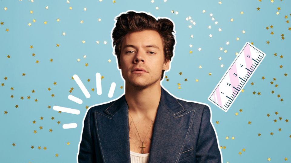 Harry Styles comenzó su carera con Onde Direction.