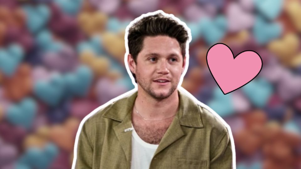 Niall Horan tiene un historial bastante polémico
