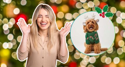 Mascotas en modo Navidad: Los 6 mejores suéteres para que tus lomitos sean los más elegantes en las