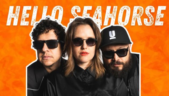 Hello Seahorse! - ¿Dónde tocaron por primera vez?