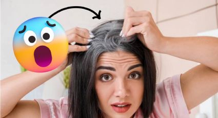 ¡Dile adiós a las canas! Estos son los mejores tintes para despedirte de ellas, según la Profeco