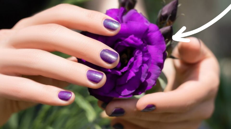 diseños de uñas en color morado con gelish