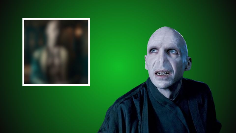 Lord Voldemort, el heredero de salazar slytherin.