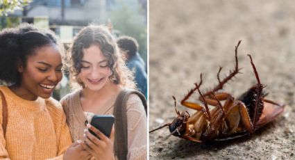 14 de febrero: Zoológicos te dejan ponerle el nombre de tu ex a una CUCARACHA