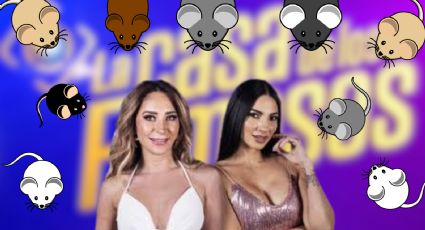 Usuarios descubren plaga de ratones dentro de La Casa de los Famosos 4