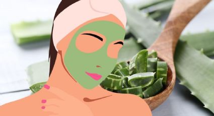 ¿Qué es y para qué sirve el aloe vera? Estos son sus beneficios y efectos para la piel