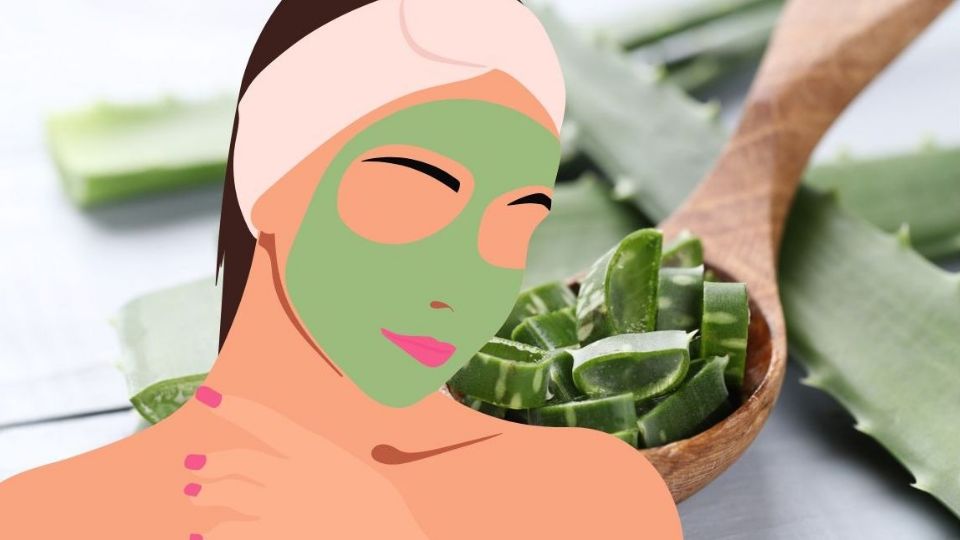 ¿Para qué sirve y cuáles son los beneficios del aloe vera?