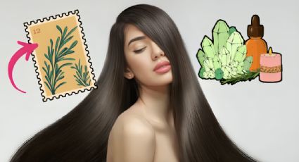 Cabello sano: ¿Qué pasa si me pongo agua de romero en el pelo?