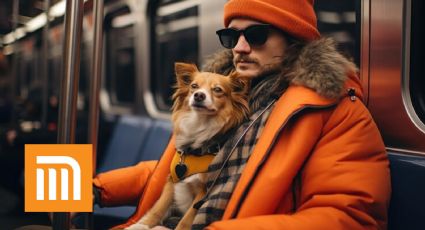 ¿Puedo viajar con mascotas en el Metro?: Así puedes llevar a tu perro según la Ley de movilidad