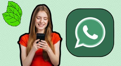 WhatsApp: cómo activar el “modo menta” y su función preferida