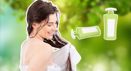 ¿Qué se necesita para hacer un shampoo casero? Hazlo fácil y rápido con estos ingredientes