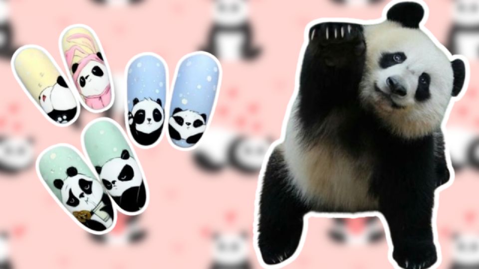 uñas de oso panda