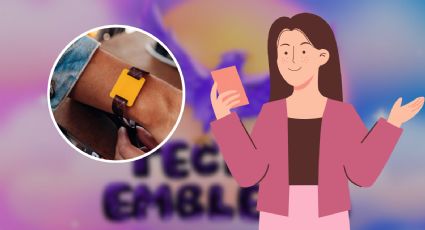 Tecate Emblema 2024: Te decimos cómo recargar tu pulsera cashless desde tu casa