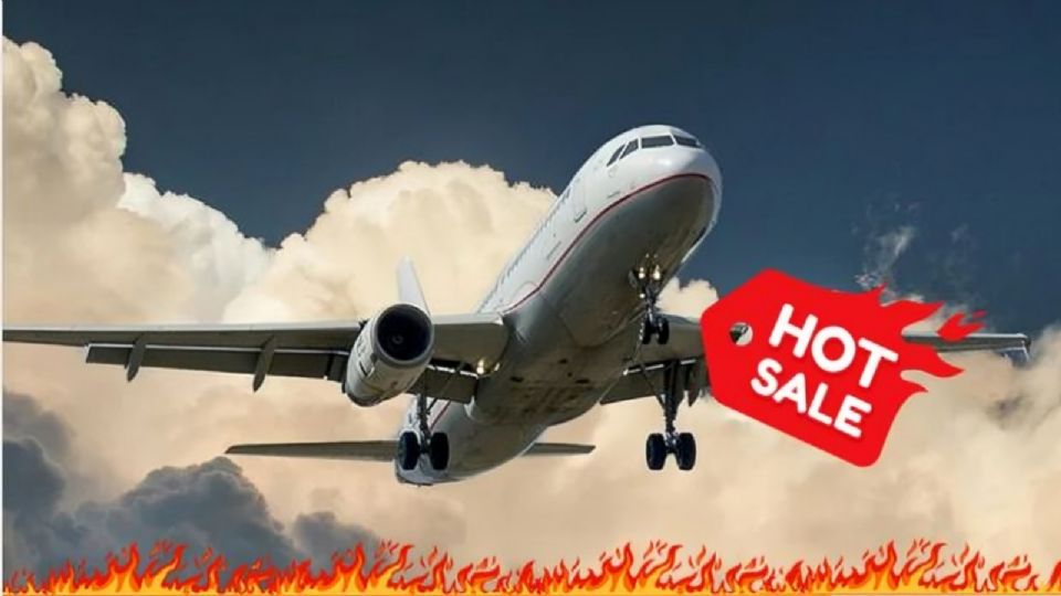 Hot Sale 2024