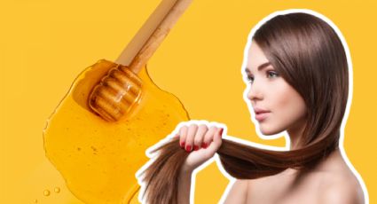 ¿Qué pasa si pongo miel a mi champú?: Hidrata tu cabello en minutos