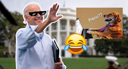 Biden busca "administrador de MEMES”: Gana más de 100 mil al MES; así puedes aplicar a la vacante