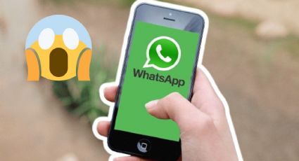 WhatsApp: La actualización que prepara, pero que podría ¡restringir algunas cuentas!