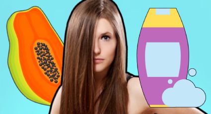 ¿Cómo usar las semillas de papaya para el cabello?: 3 tips para tu champú casero de ensueño