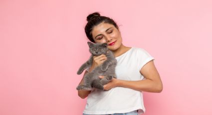 Conoce los trucos para saber si tu gato es feliz con tu presencia