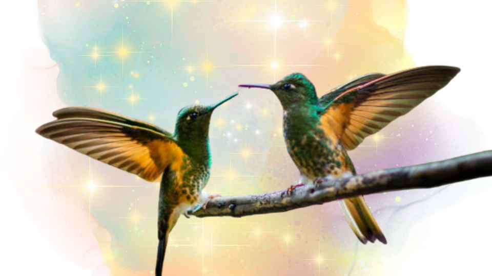 Colibrí en el jardín y sus significados. Fuente: Foto: iStock / Producción Exa FM.