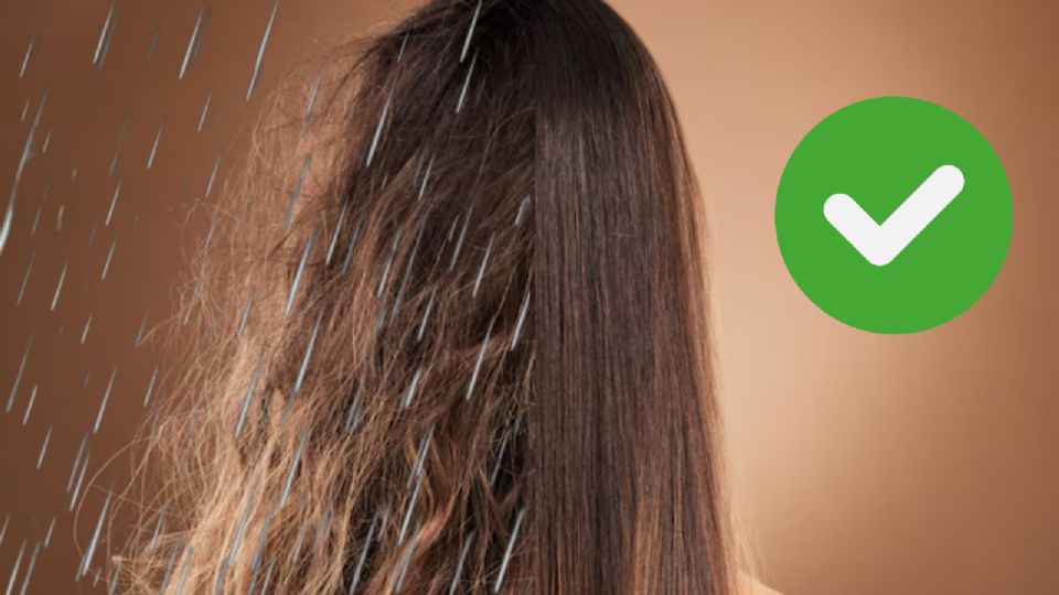 El cabello sano necesita hidratación profunda
