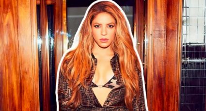 Así se hizo famosa Shakira: Esta es la historia detrás de su éxito