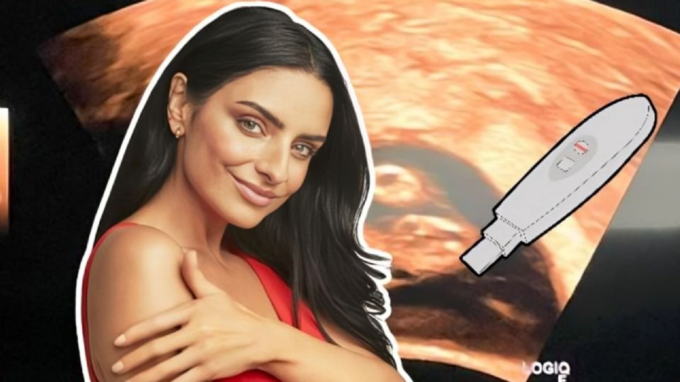 Aislinn Derbez tiene 38 años actualmente 
