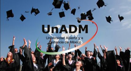 Convocatoria SEP para estudiar la Universidad a distancia 2024: Lista de licenciaturas por área a las que puedes aplicar