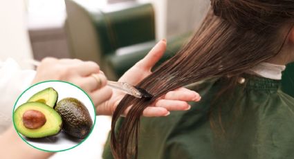 ¿Para qué sirve el aguacate en el cabello y cuáles son sus beneficios? Así puedes hacer la mezcla natural