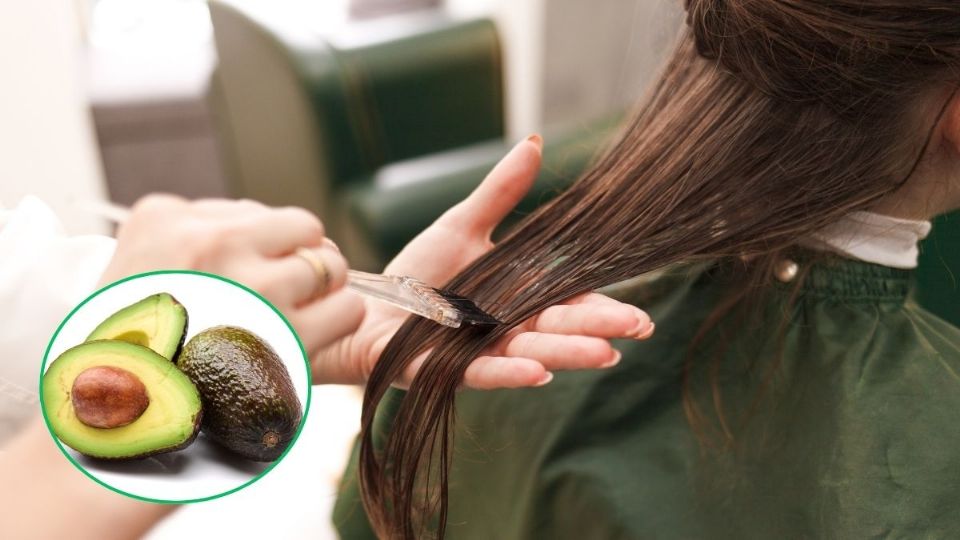 ¿Para qué sirve el aguacate en el cabello y cuáles son sus beneficios?