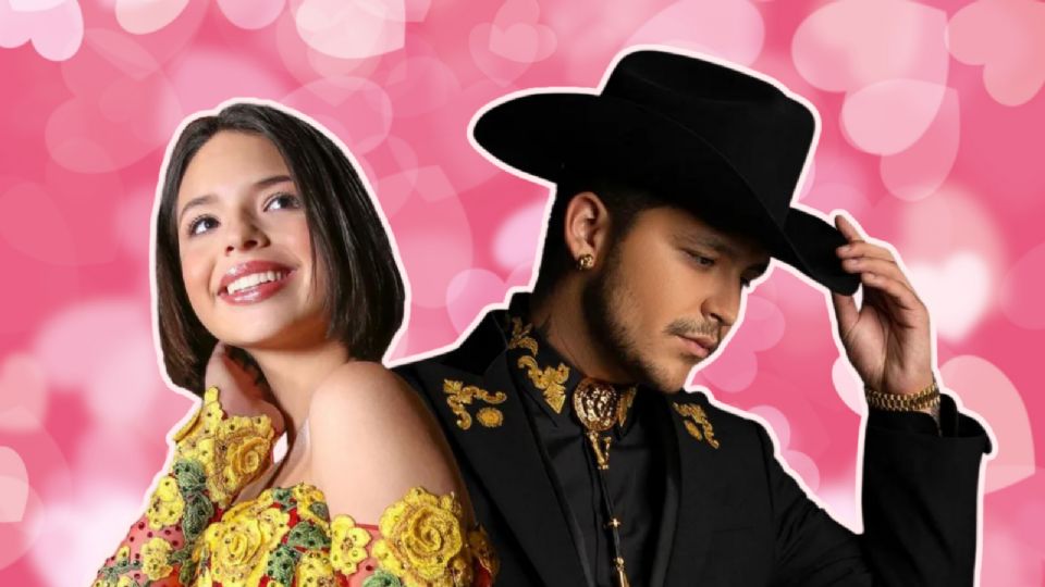 La pareja interpretó su canción durante la fiesta de su boda.