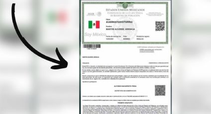 ¿Qué hacer si mi CURP no está certificada? Paso a paso para validarla