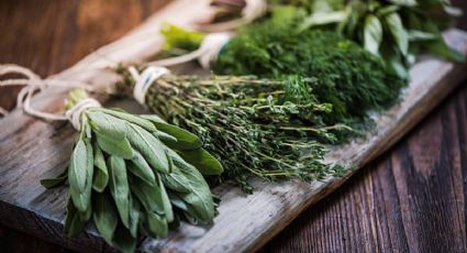 Esta es la poderosa hoja verde ideal para aliviar las úlceras en la boca y el enrojecimiento en los ojos