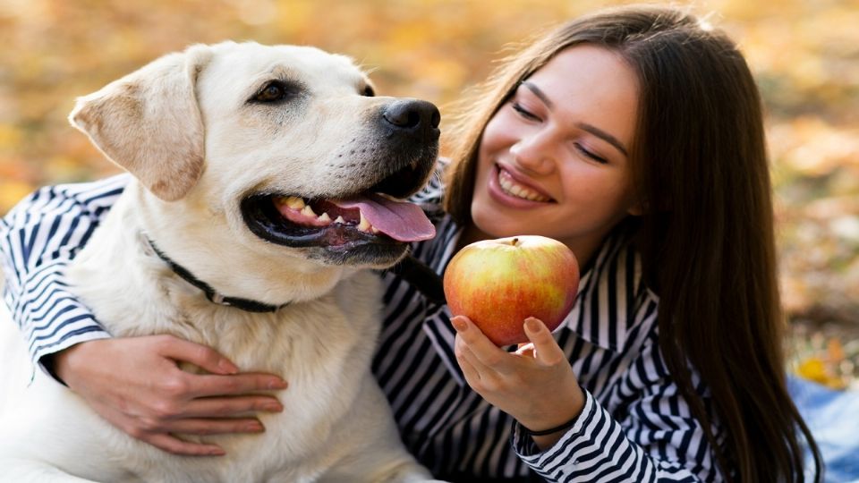 Manzana y zanahoria, dos opciones saludables y seguras para tu perro, según expertos en nutrición animal.