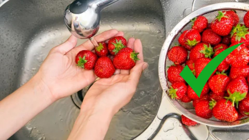 Aprende la mejor forma de desinfectar las fresas. Fuente: Foto: depositphotos / Producción Exa FM