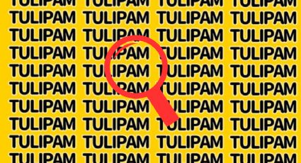 Sólo una mente muy brillante puede hallar la palabra ‘Tulipan’ en menos de 10 segundos