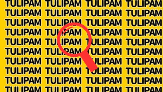 Sólo una mente muy brillante puede hallar la palabra ‘Tulipan’ en menos de 10 segundos