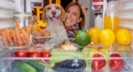 Descubre las mejores frutas y verduras para perros, según expertos