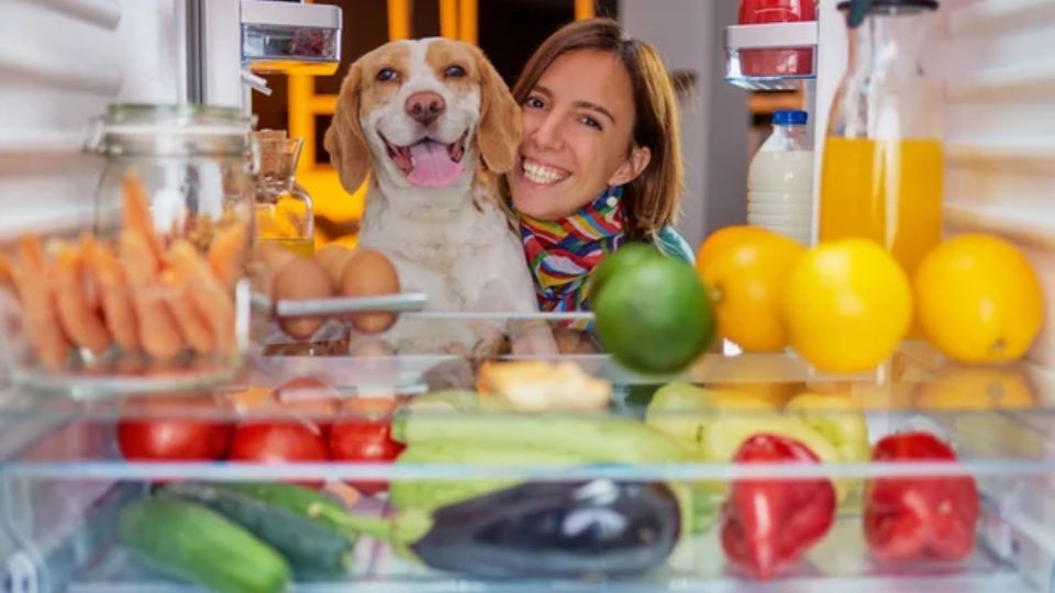 Descubre las mejores frutas y verduras para perros, según expertos. Fuente: Foto: depositphotos