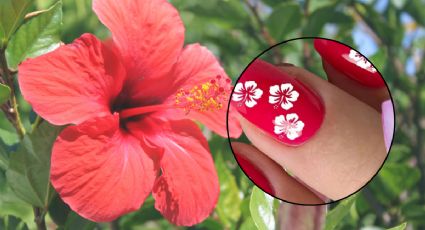 Uñas con flor de hibisco o hibiscus nails: ¿Qué son y cómo llevarlas en agosto?