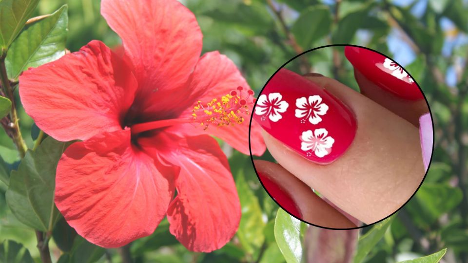 Las hibiscus nails están inspiradas en la flor de hibisco.