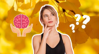 ¿Qué es el ginkgo biloba? Estos son los beneficios de esta planta milenaria