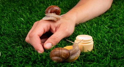 ¿Cuál es el efecto de la baba de caracol en la piel?