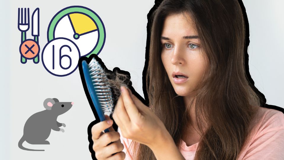 Las células foliculares son clave para el crecimiento del cabello.