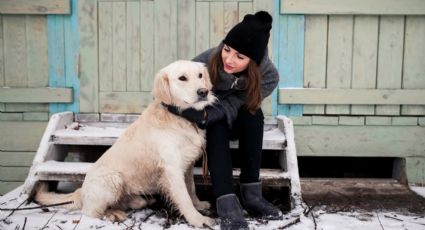 Así debes proteger a tus perros del frío extremo, según expertos